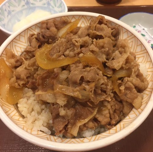 ユウくん、牛丼を食べる